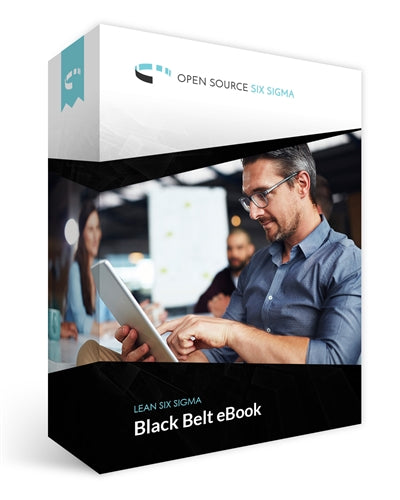 The Certified LSS Black Belt eBook